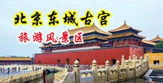 精品自拍高清一区二区中国北京-东城古宫旅游风景区
