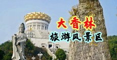 民工大鸡吧内射视频中国浙江-绍兴大香林旅游风景区